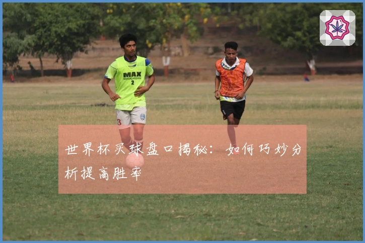 世界杯买球盘口揭秘：如何巧妙分析提高胜率