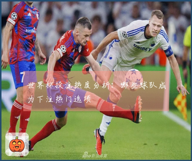 世界杯投注热度分析：哪些球队成为下注热门选项
