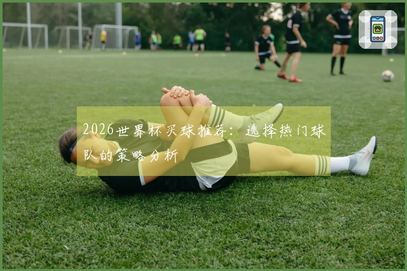 2026世界杯买球推荐：选择热门球队的策略分析