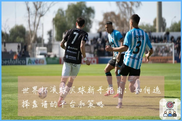 世界杯滚球买球新手指南：如何选择靠谱的平台和策略