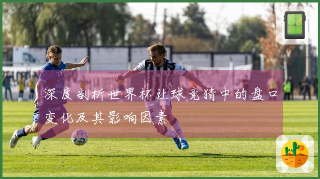深度剖析世界杯让球竞猜中的盘口变化及其影响因素