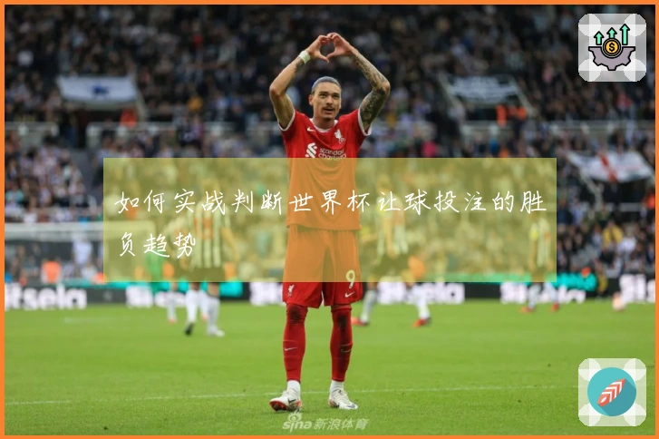 如何实战判断世界杯让球投注的胜负趋势