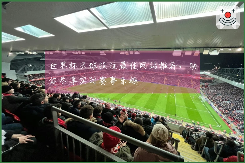 世界杯买球投注最佳网站推荐，助你尽享实时赛事乐趣